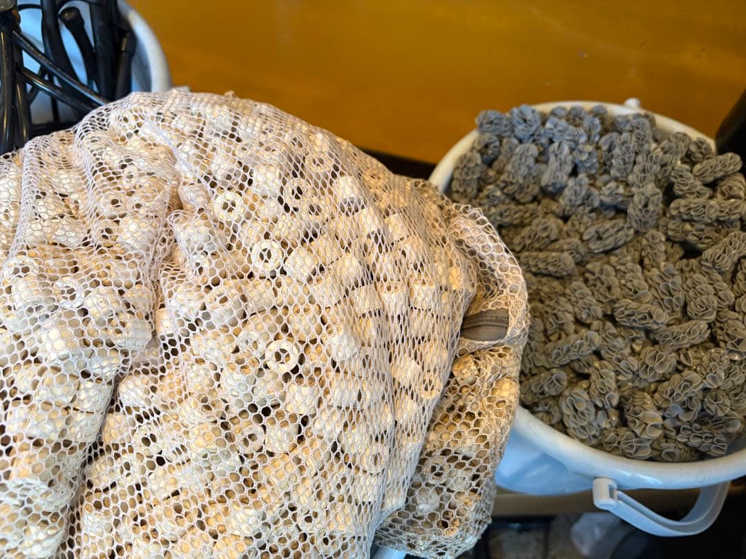 岐阜県 1/17以降 1500×600×600大型アクリル水槽フルセット8万