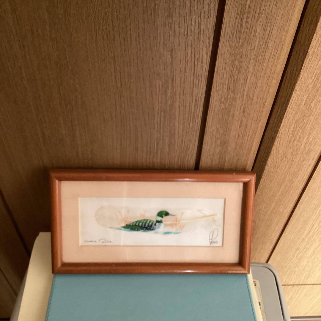 水彩画　　タイトル【　鴨　】鳥の羽に鴨の絵が描かれてます。壁掛け額装　直筆サイン