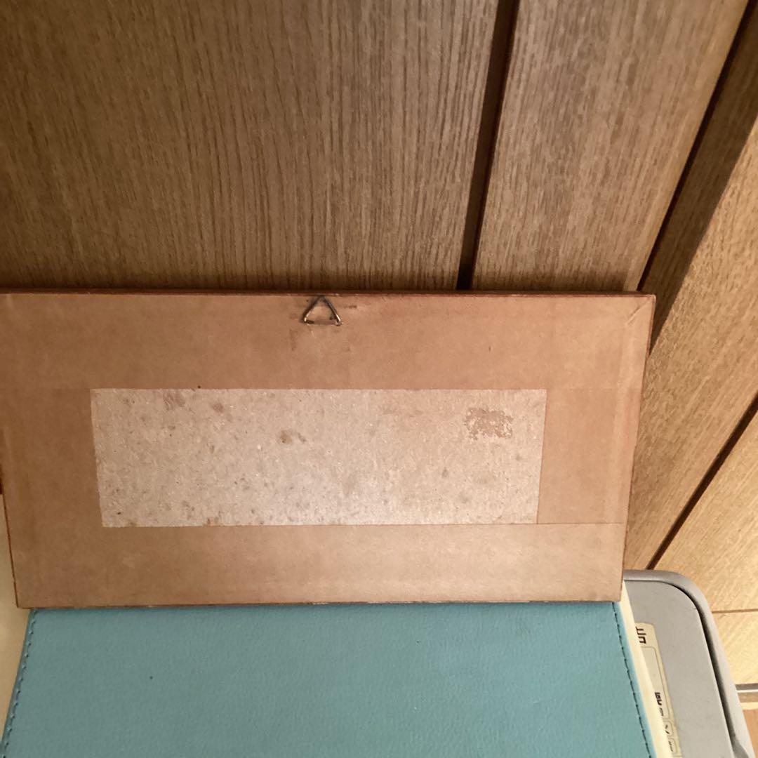 水彩画　　タイトル【　鴨　】鳥の羽に鴨の絵が描かれてます。壁掛け額装　直筆サイン