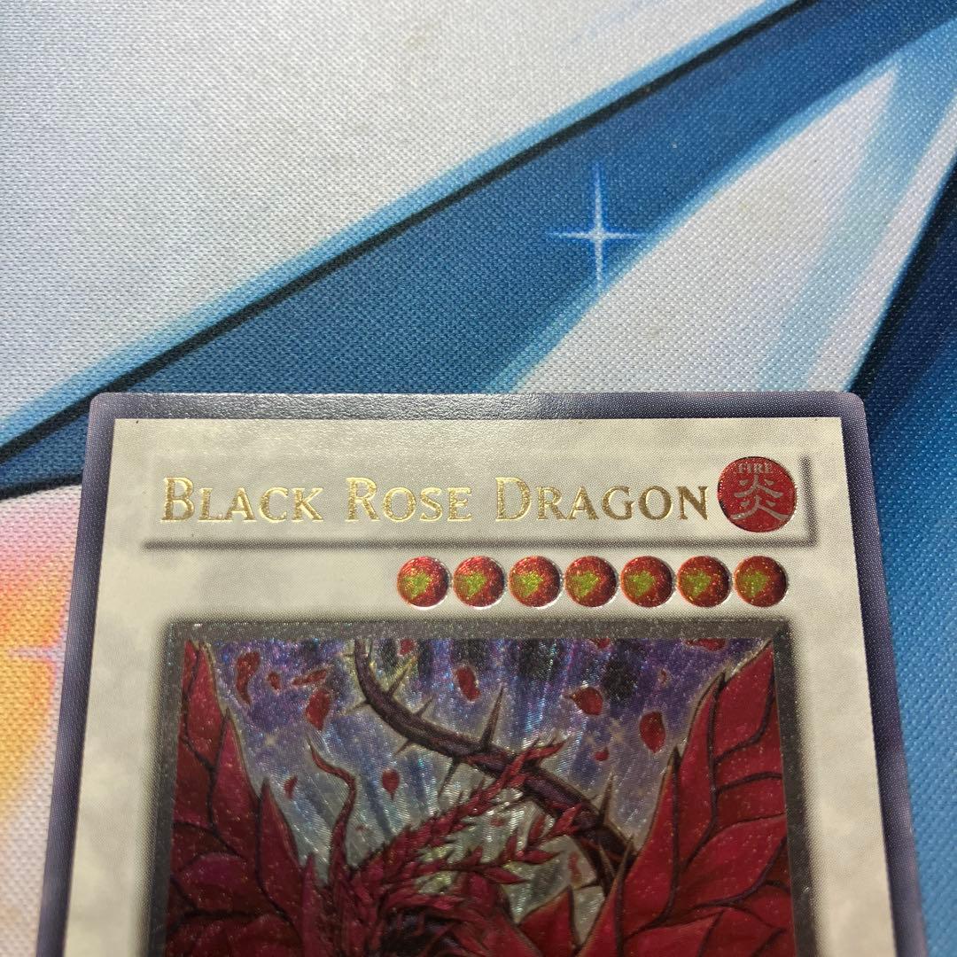 ブラック・ローズ・ドラゴン　レリーフ　英語　①