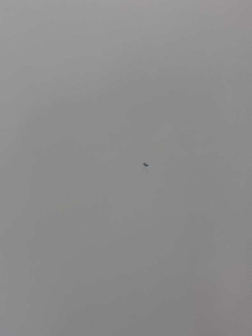 【中古】Panasonic NR-F437T-N 冷蔵庫 426L 6ドア