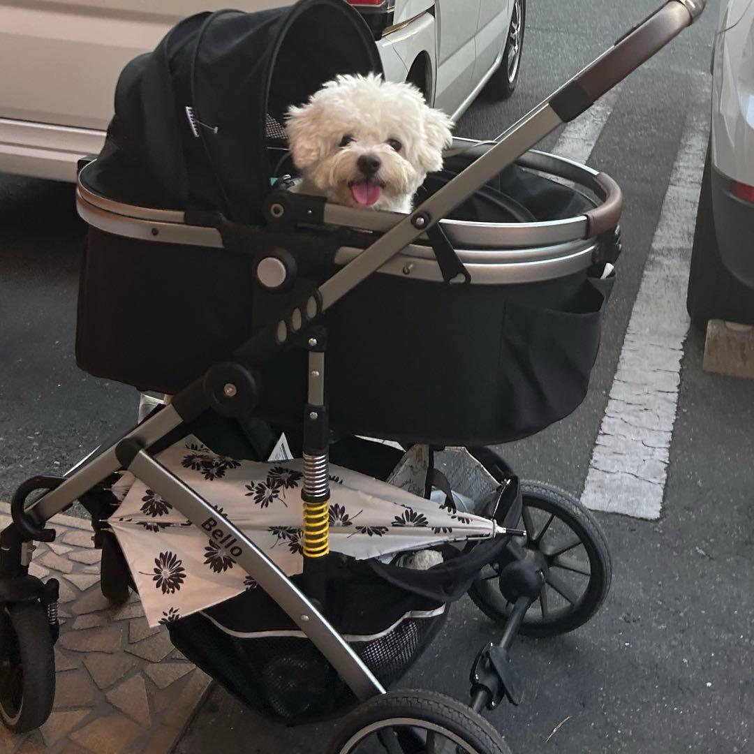 ペットキャリーカート