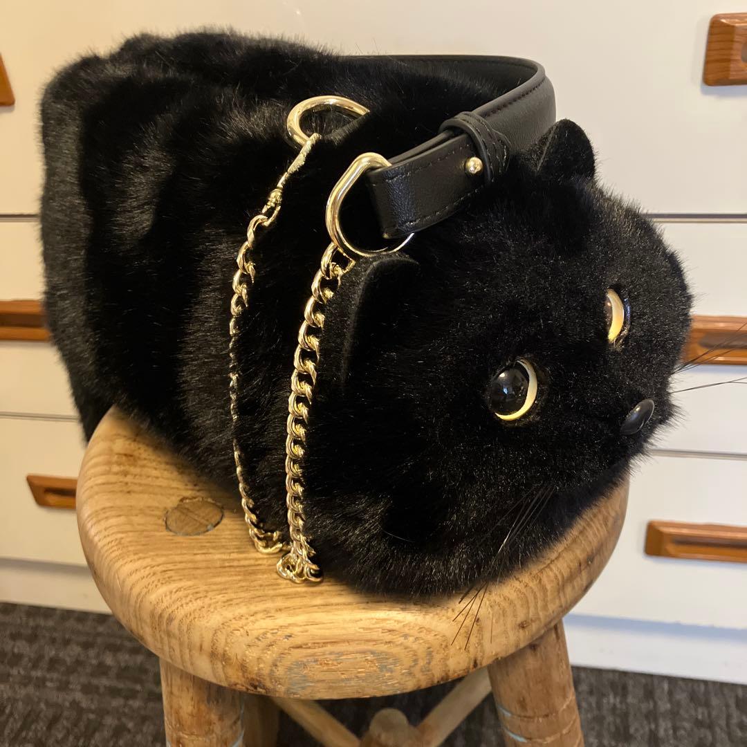 後藤専用❁⃘*.゜