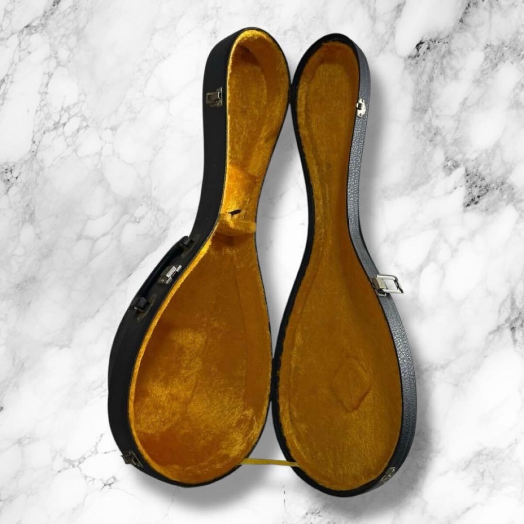 【極美品】SUZUKI M-30 マンドリン スズキ ハードケース付き ⑤