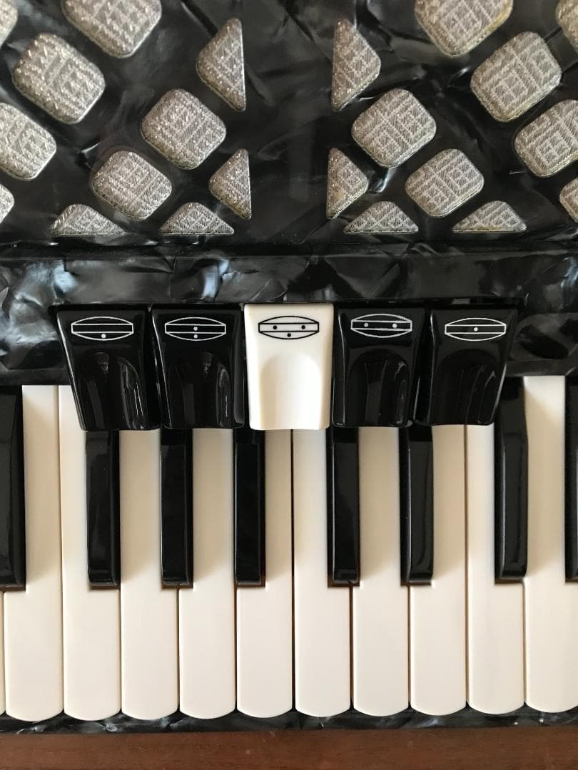 アコーディオン TOMBO グランデール GT-60