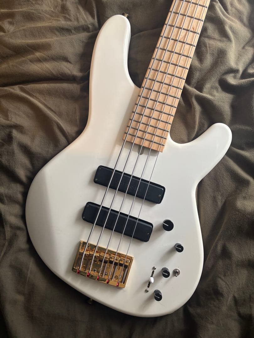 最終値下げ　Heartfield DR-5 fujigen製 5弦ベース