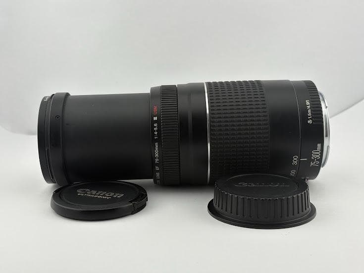★美品★ キャノン EF 75-300mm F4-5.6 iii USM