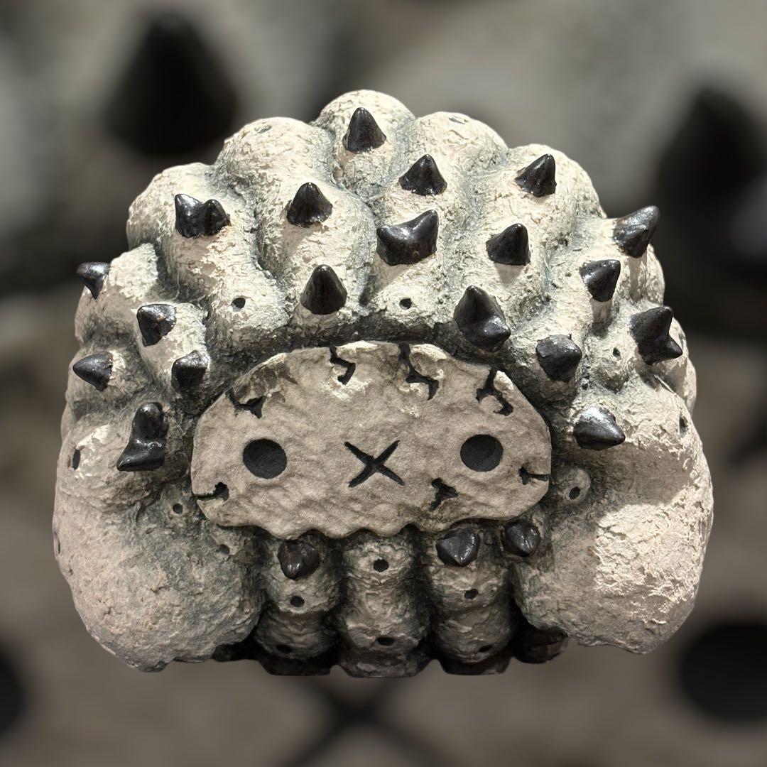 羅本製所 Copiapoa 黑王丸-丸型 Robinceramicstudio