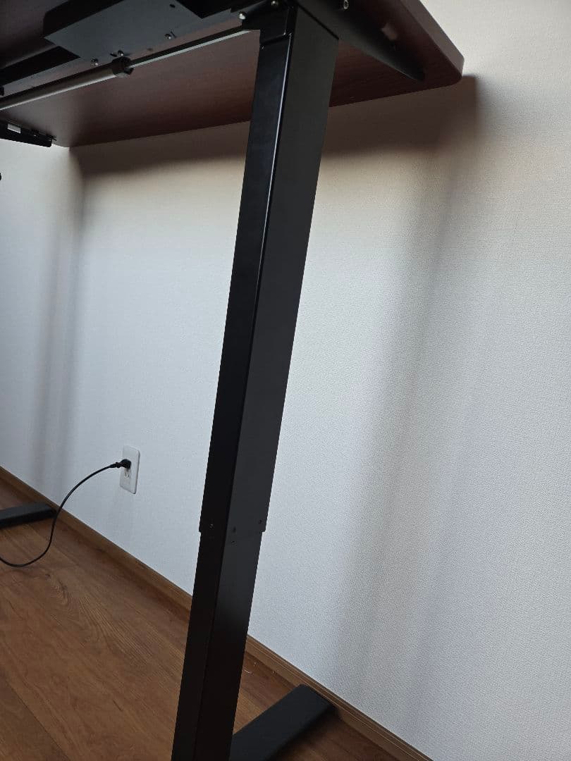 最終処分価格！　FLEXISPOT　EG-1