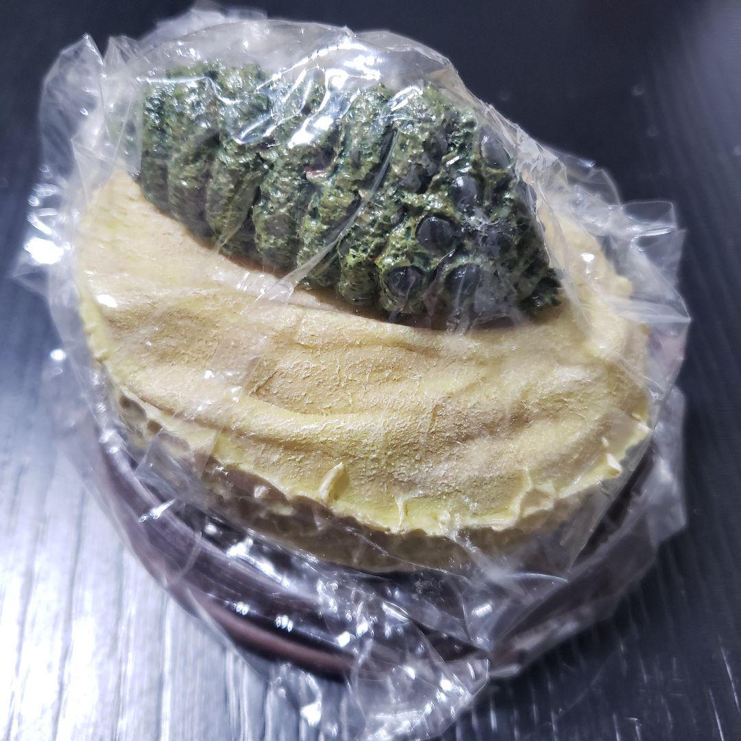 風の谷のナウシカ オウム 王蟲 リアルファンタジー ライト スタジオジブリ