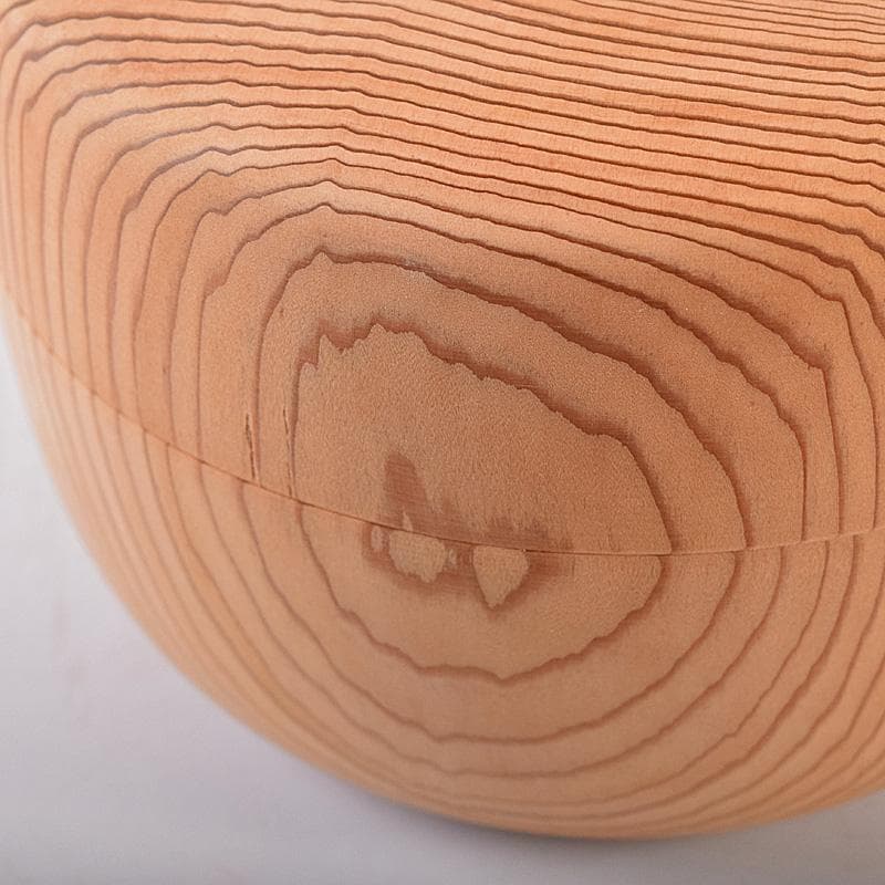 茶道具　井波彫刻　岩倉勘宰作　天然記念物毘沙門杉　平棗　共箱　M　R8065