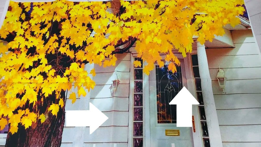 背景布　【　秋B　】　サンプル　ニューボーンフォトなどに♪