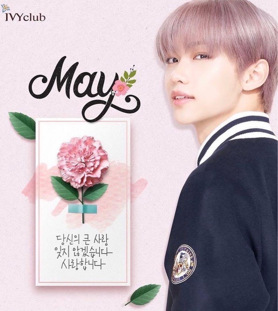 Straykids 直筆サイン入りチェキ　フィリックス　IVY club