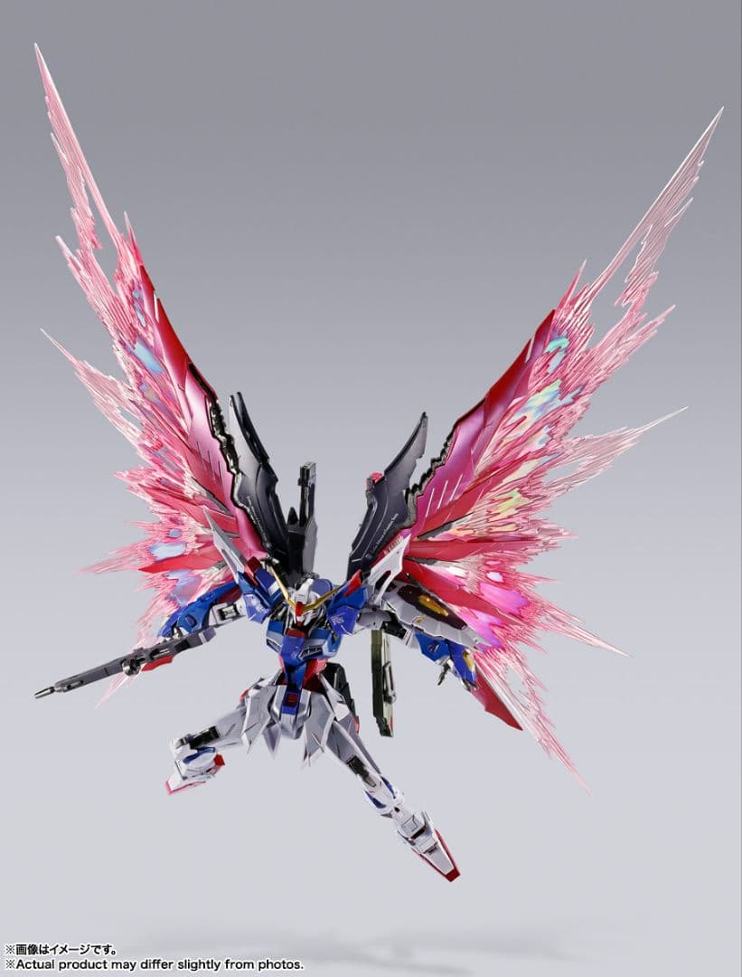 デスティニーガンダム L BUILD FESTIVAL 2024