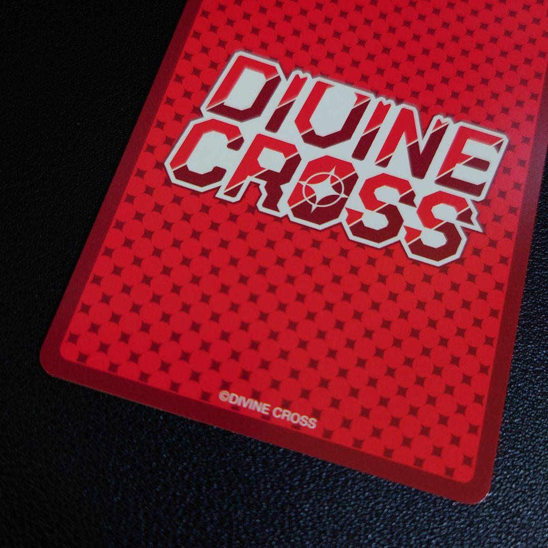 ディヴァインクロス　バニーガーデン　密着ハグ 花奈 シリアル SEC