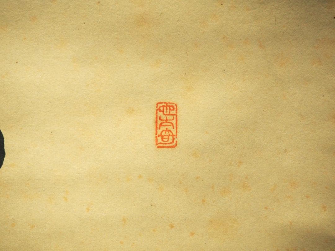 臨済宗大徳寺塔頭玉林院前住職　森洞雲自筆二字横物『白雲』掛軸（共箱）