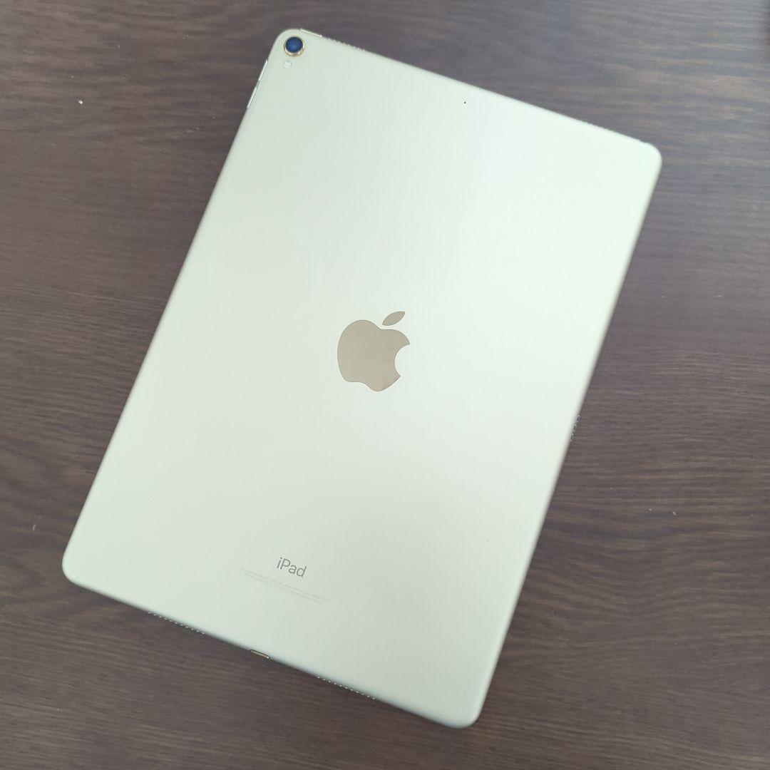 Apple iPad Pro 10.5インチモデル　256GB　ケース付き