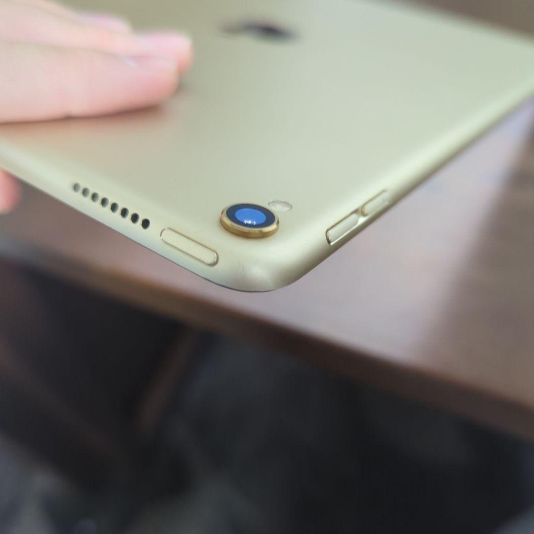 Apple iPad Pro 10.5インチモデル　256GB　ケース付き