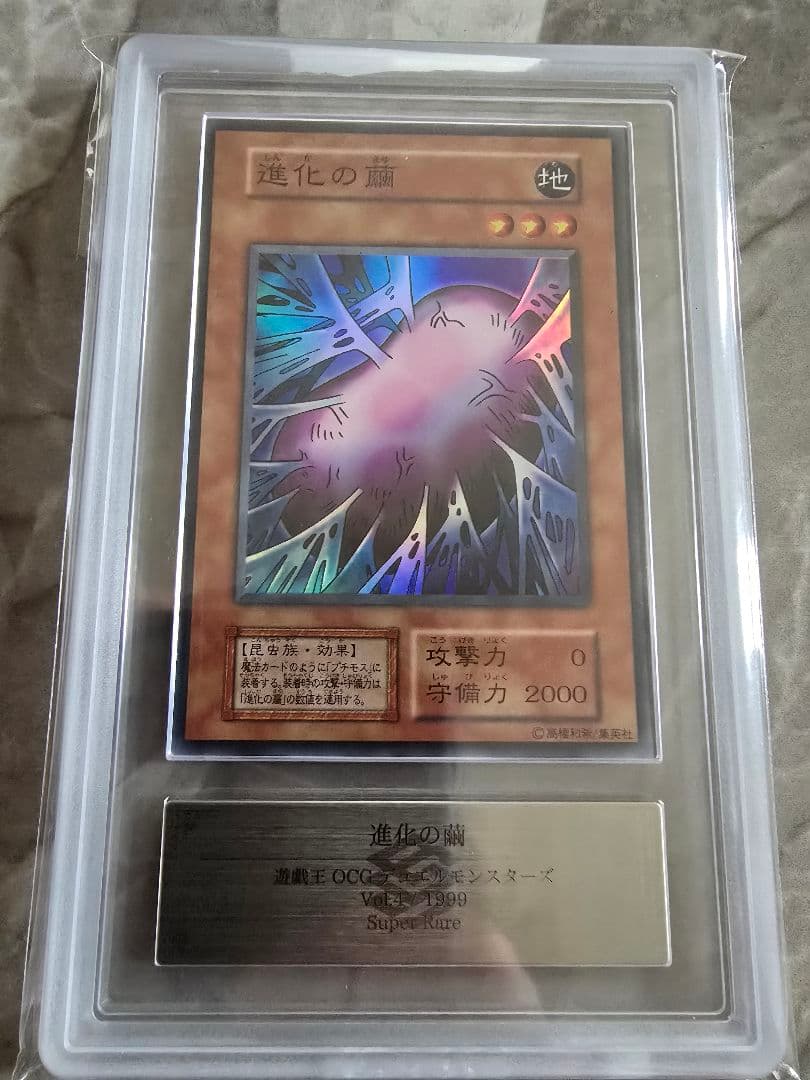 遊戯王OCG 進化の繭 ARS 10＋