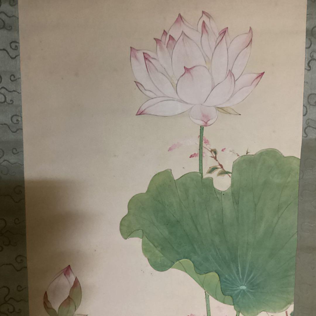 O-13. 蓮下の鷺　　白鷺と蓮の花 掛軸　尚文作