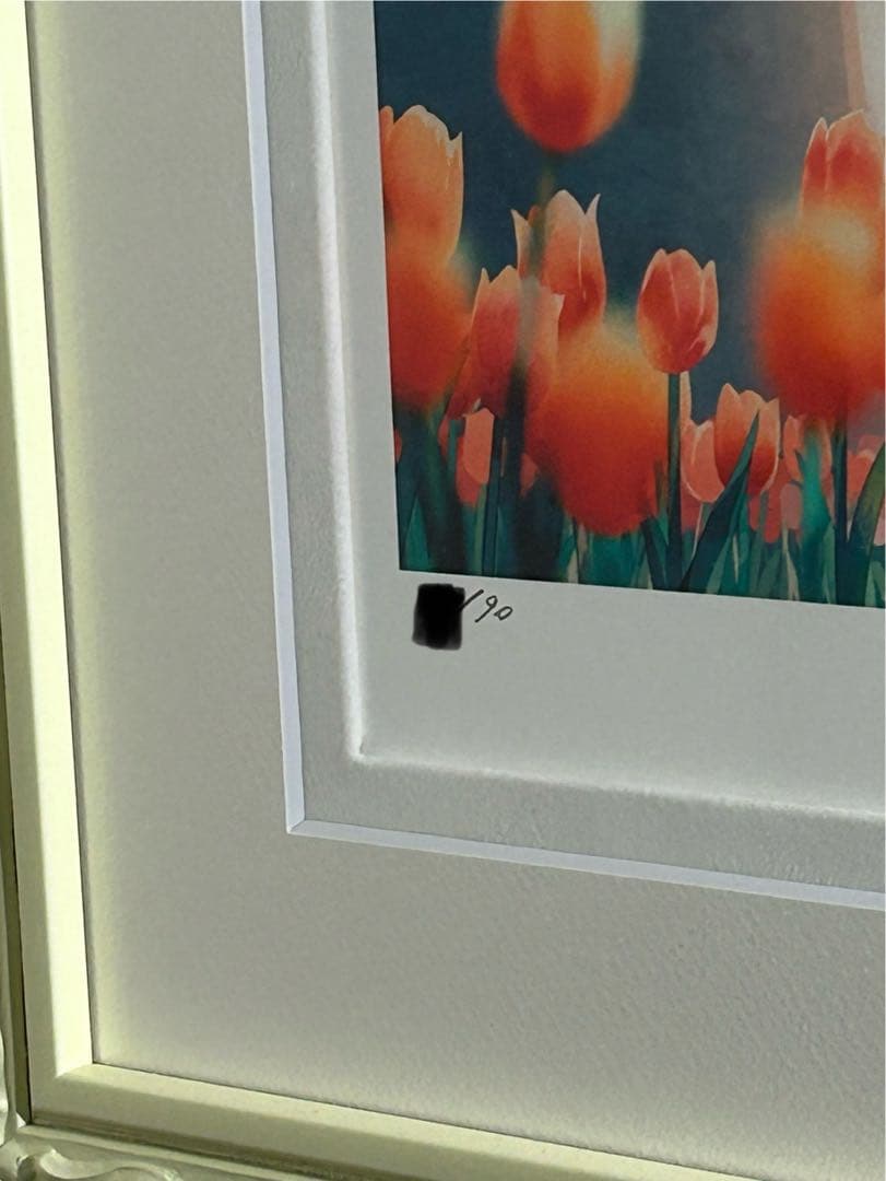 Hiten 版画 DX版 ADOLESCENCE アールビバン　アールジュネス