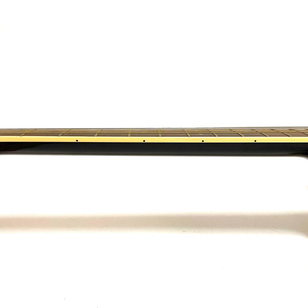 Takamine タカミネ DMP561C BL エレアコ ハードケース付