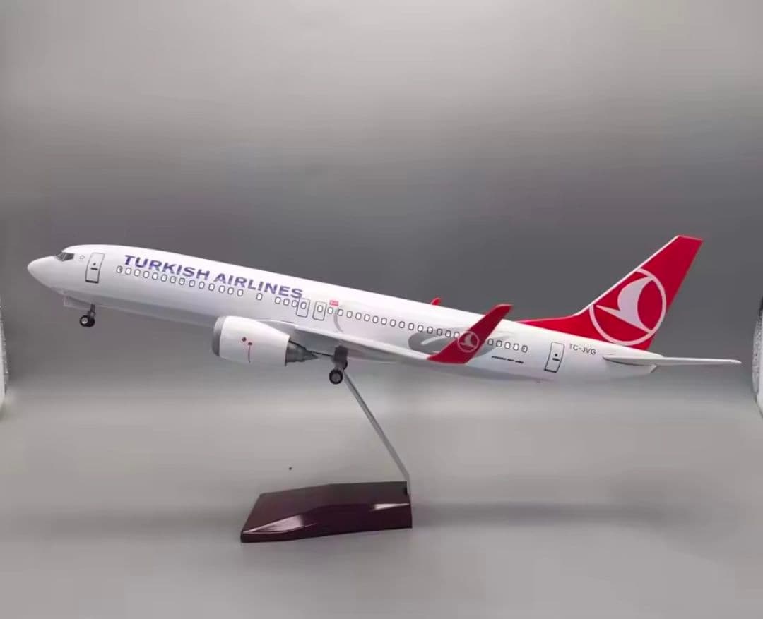 トルコ航空 Turkish Airlines ボーイング B737 MAX 8
