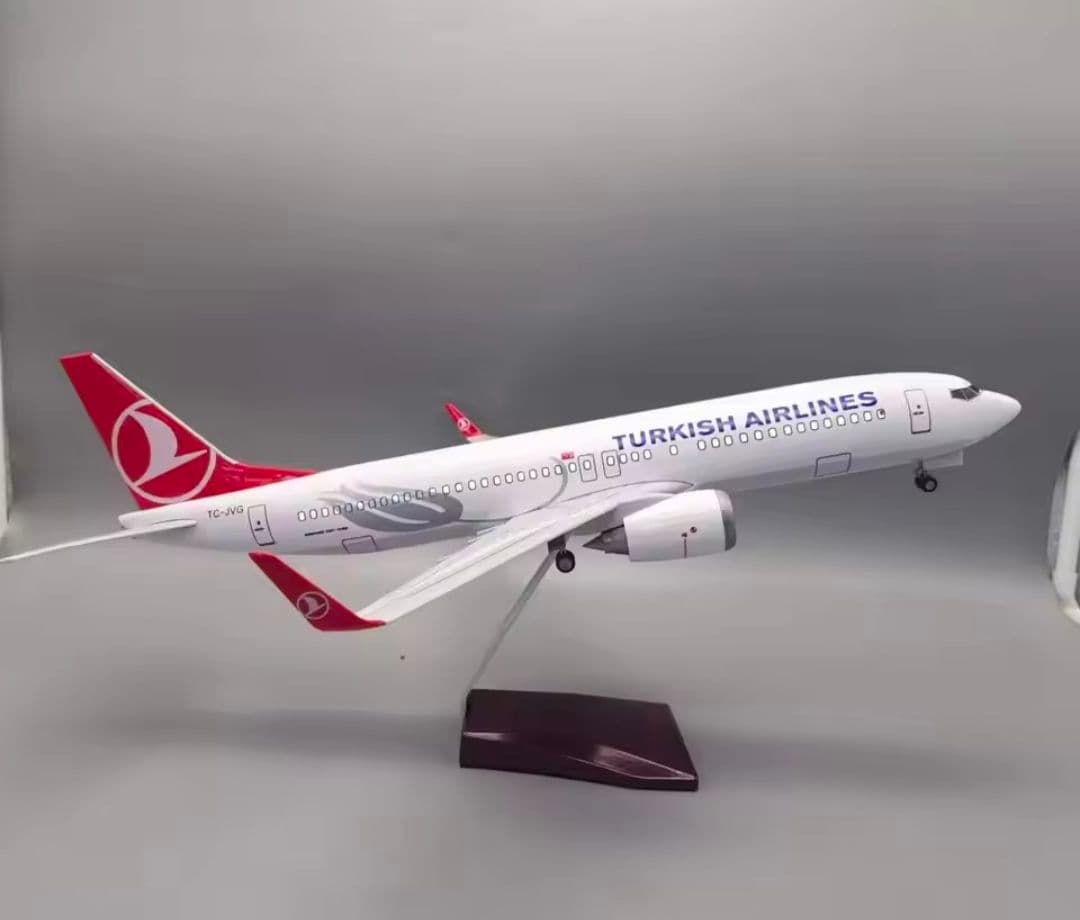 トルコ航空 Turkish Airlines ボーイング B737 MAX 8