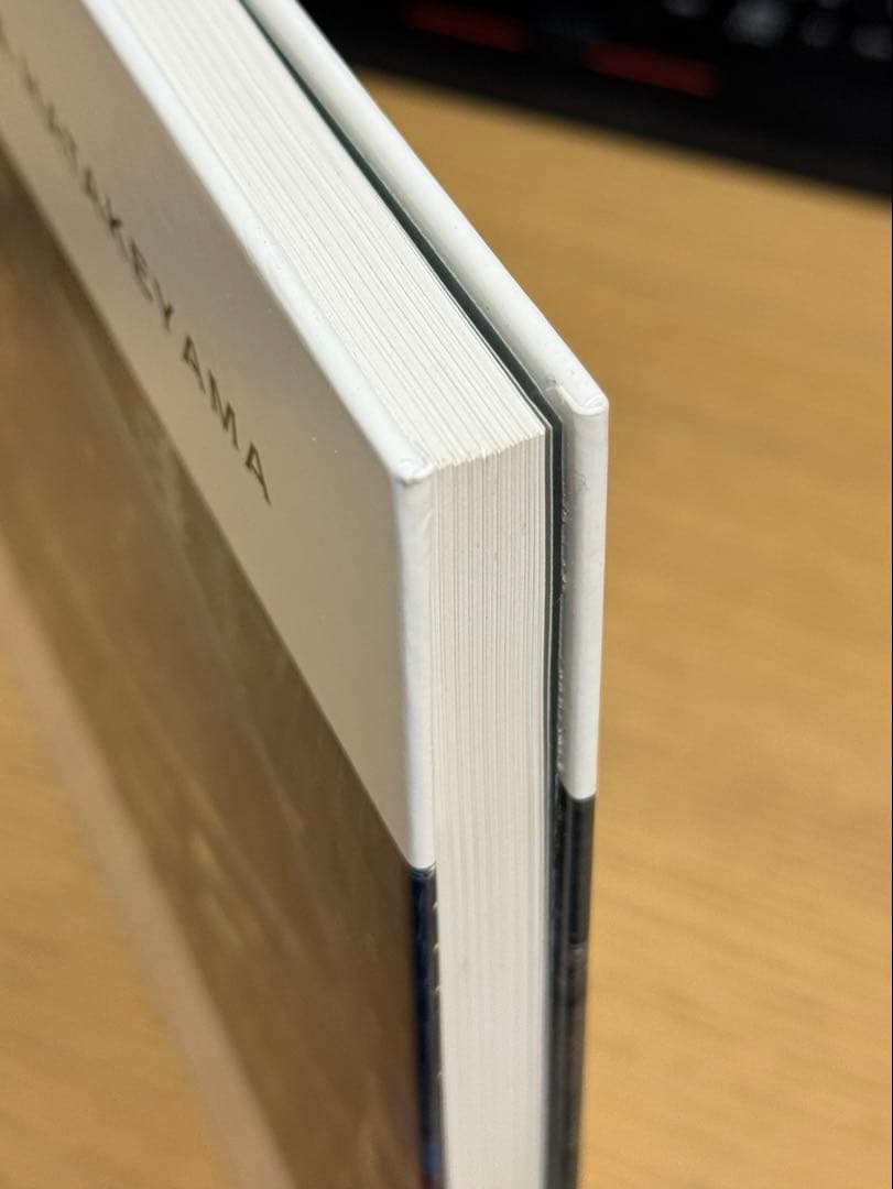 NAOYA HATAKEYAMA | 畠山直哉 | HATJE CANTZ