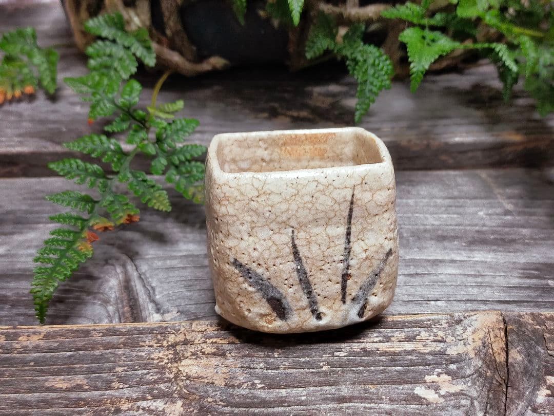 ♥絵志野　ぐい呑み　桐箱付き　⑰　志野　ぐい飲み　骨董品