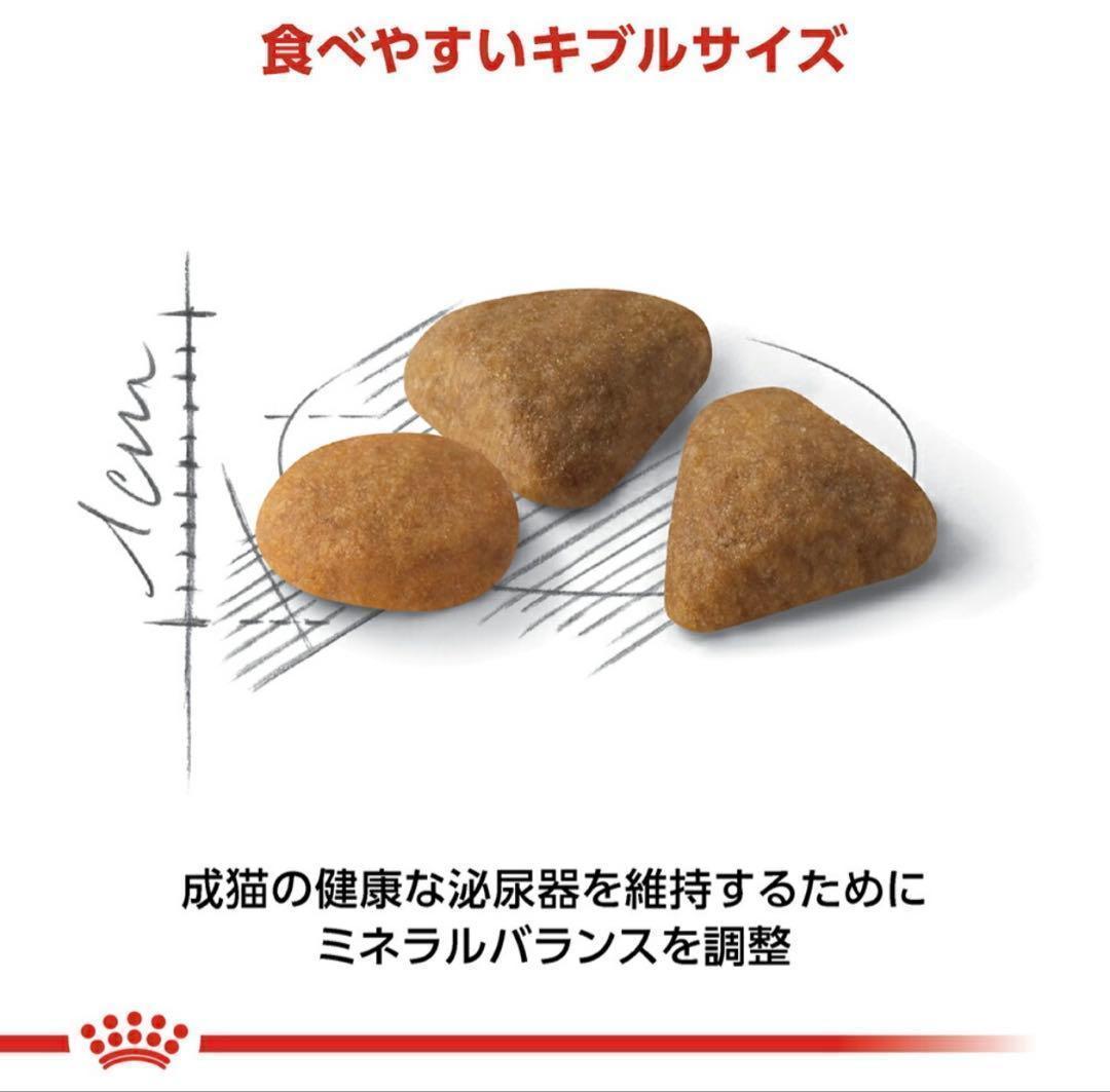 【未開封】ロイヤルカナン　セイバーエクシジェント　猫用(2KgX2)