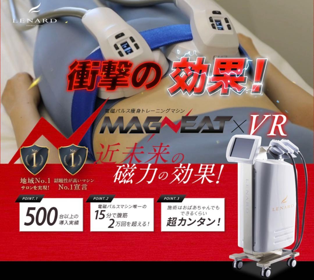 【寝ながら筋トレ痩せマシン】マグニート(関東近辺なら配送出来ます)