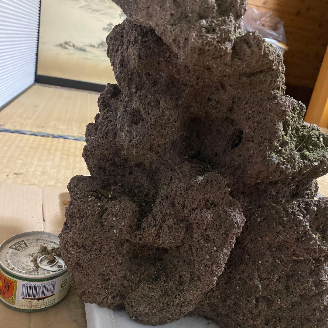 【美形】軽石　岩石　水槽　装飾 アクアリウム　NO4