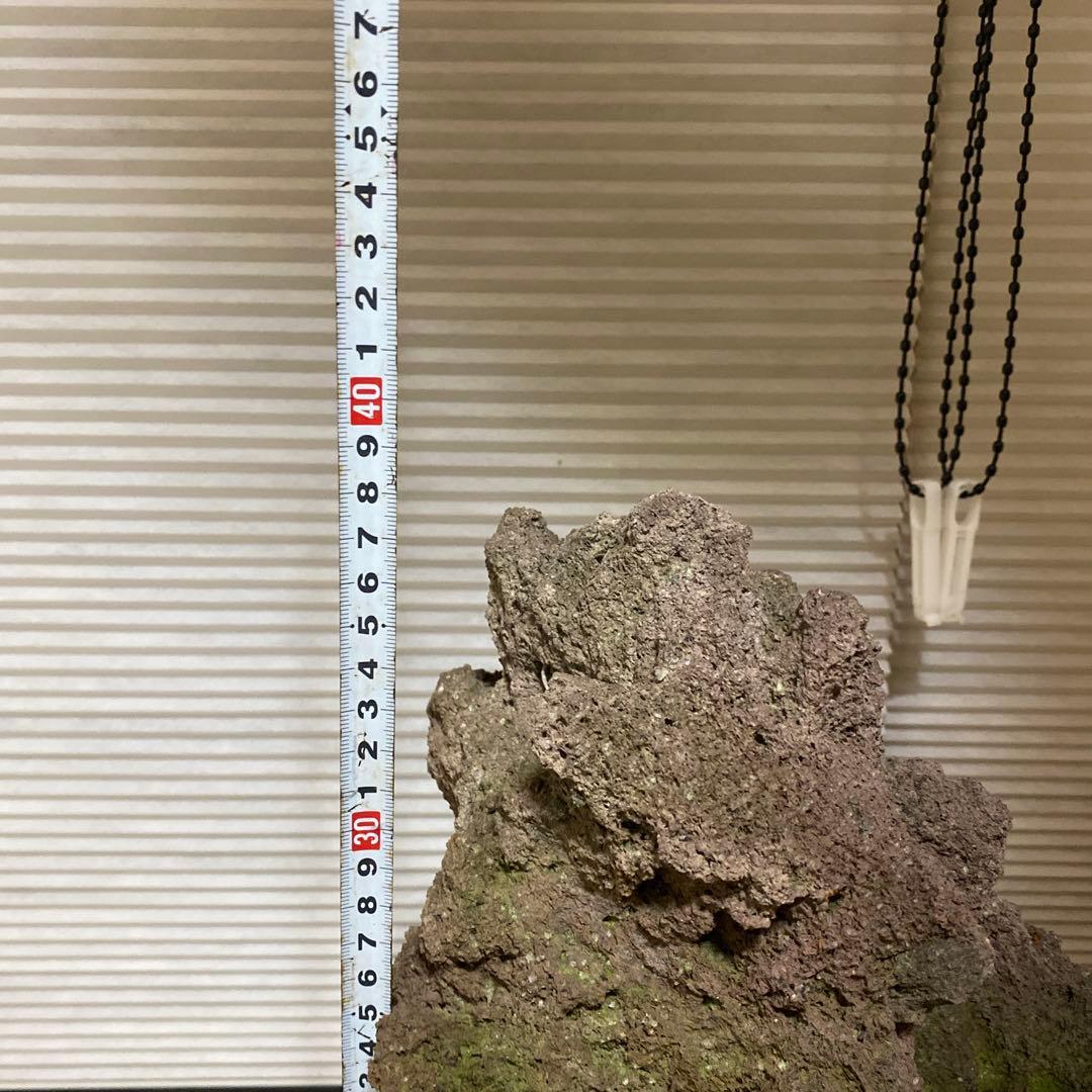 【美形】軽石　岩石　水槽　装飾 アクアリウム　NO4