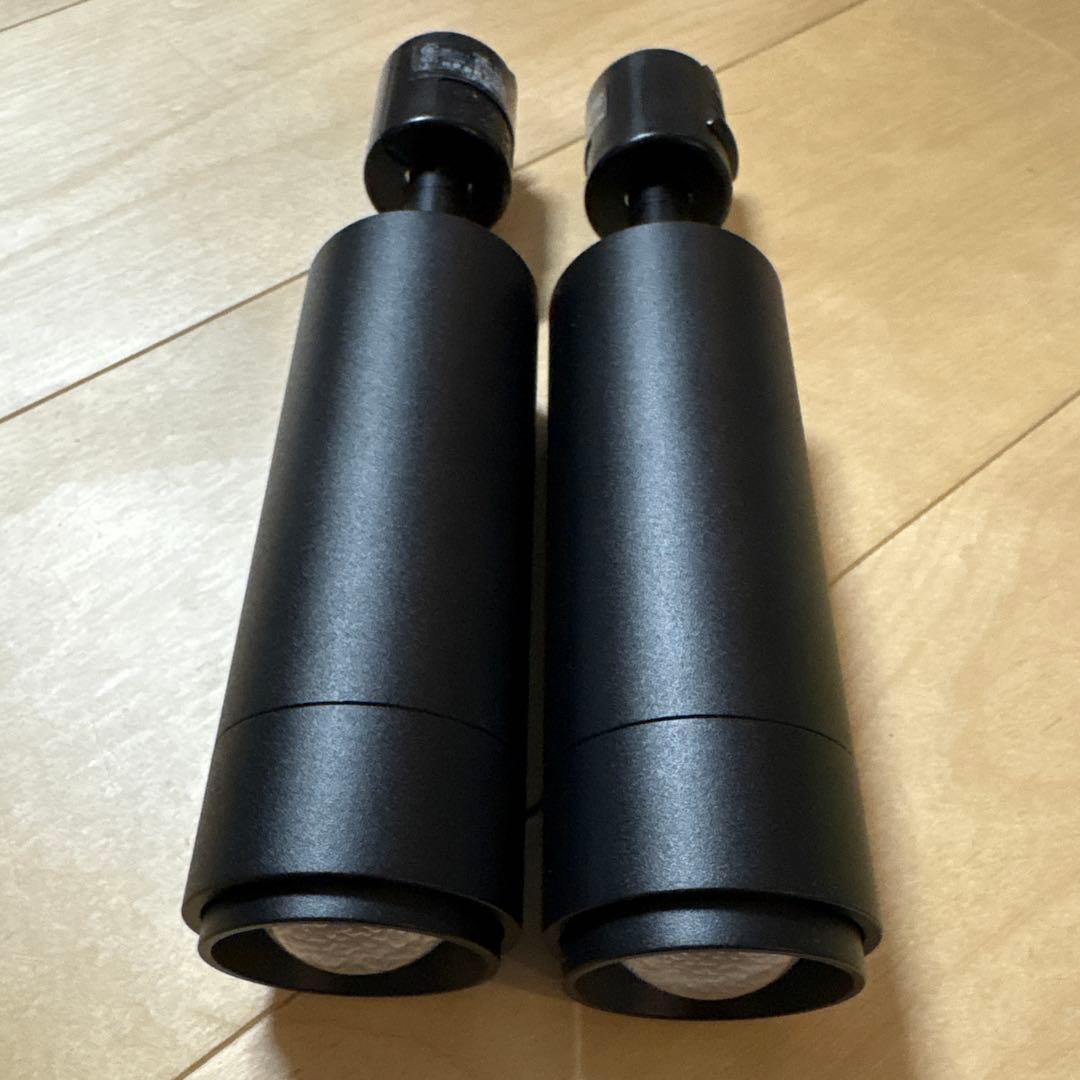 エジソンスマート　ミニスポットライト　黒　２個セット　RST-TL167BK