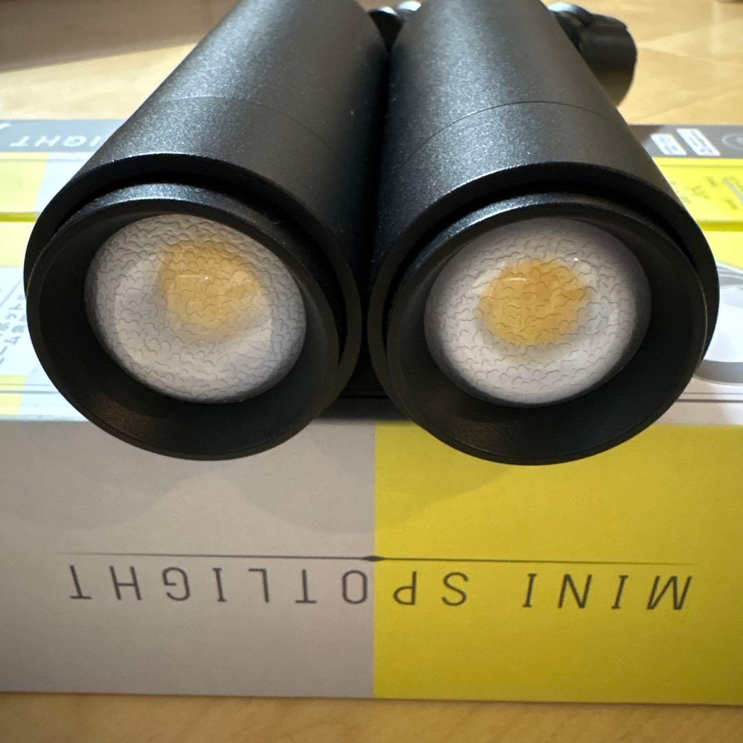 エジソンスマート　ミニスポットライト　黒　２個セット　RST-TL167BK