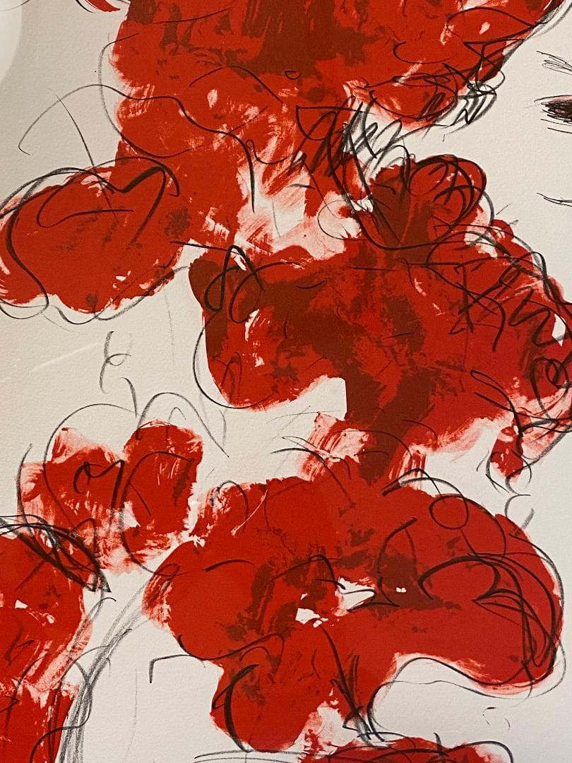 「真作」天野喜孝「朱夏花－あかいはな－」額装　版画　32/100　直筆サイン入り