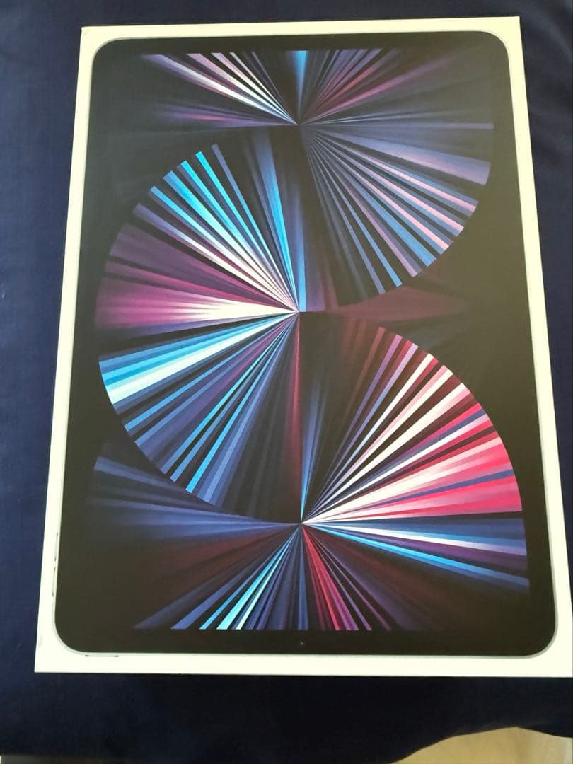 iPad Pro 11インチ 256GB WiFiモデル