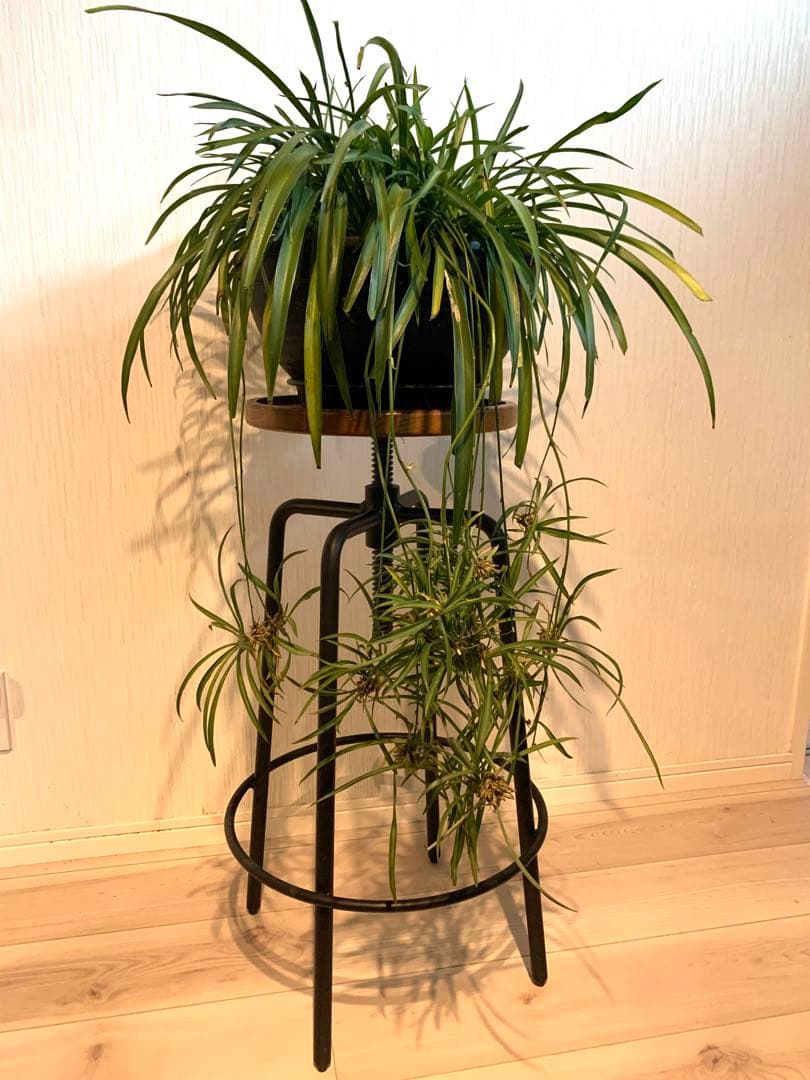 関家具 アイアン＆木製・ハイスツール ・エアロII