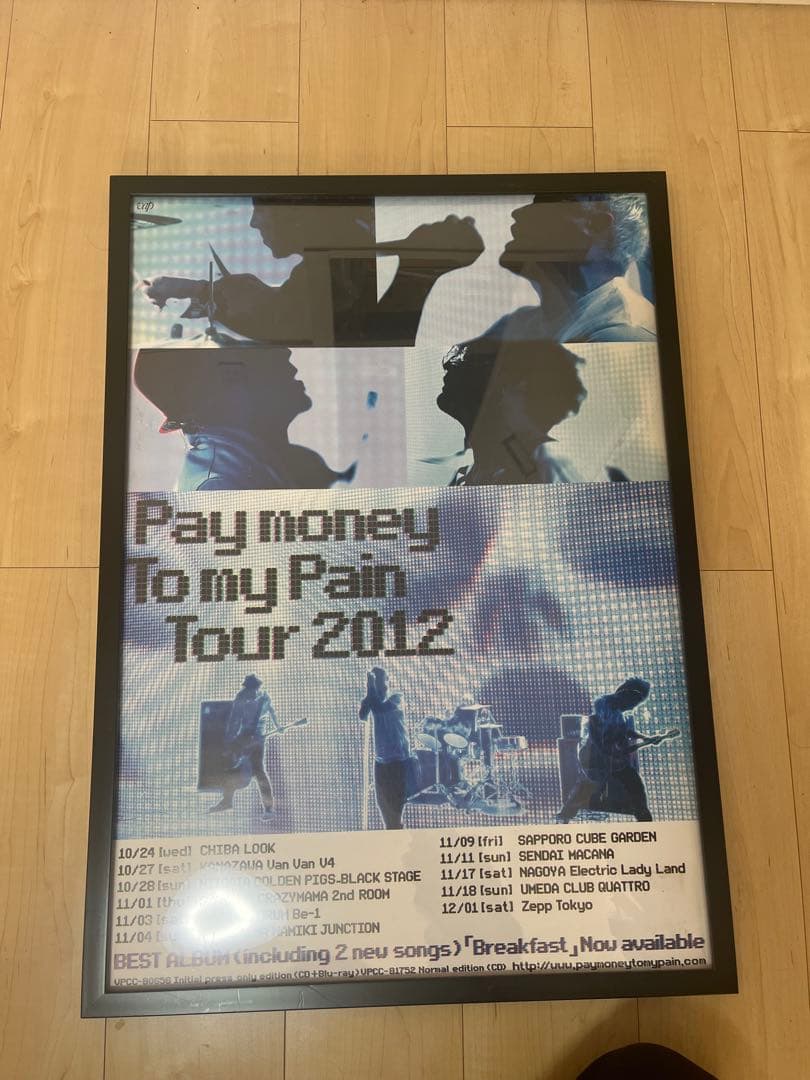 Pay money To my Pain Tour 2012 ポスター