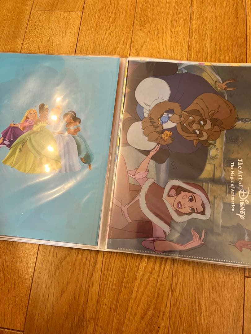 ディズニー　クリアファイル大量セット