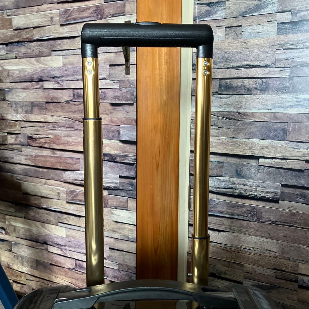 Roen キャリーケース　約30L 2輪　機内持ち込み可能