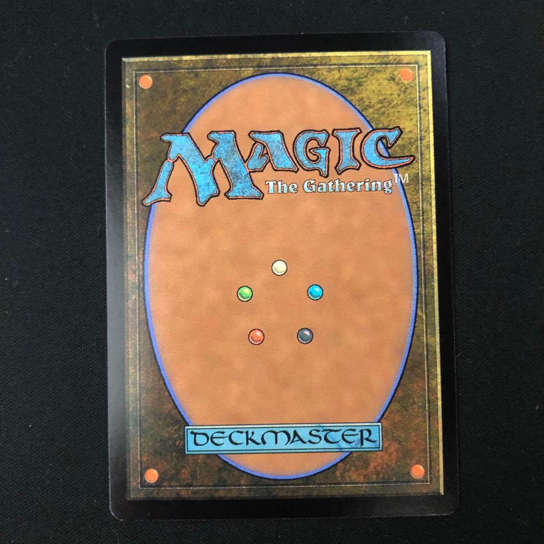 汚染された三角州　霧深い雨林　mtg