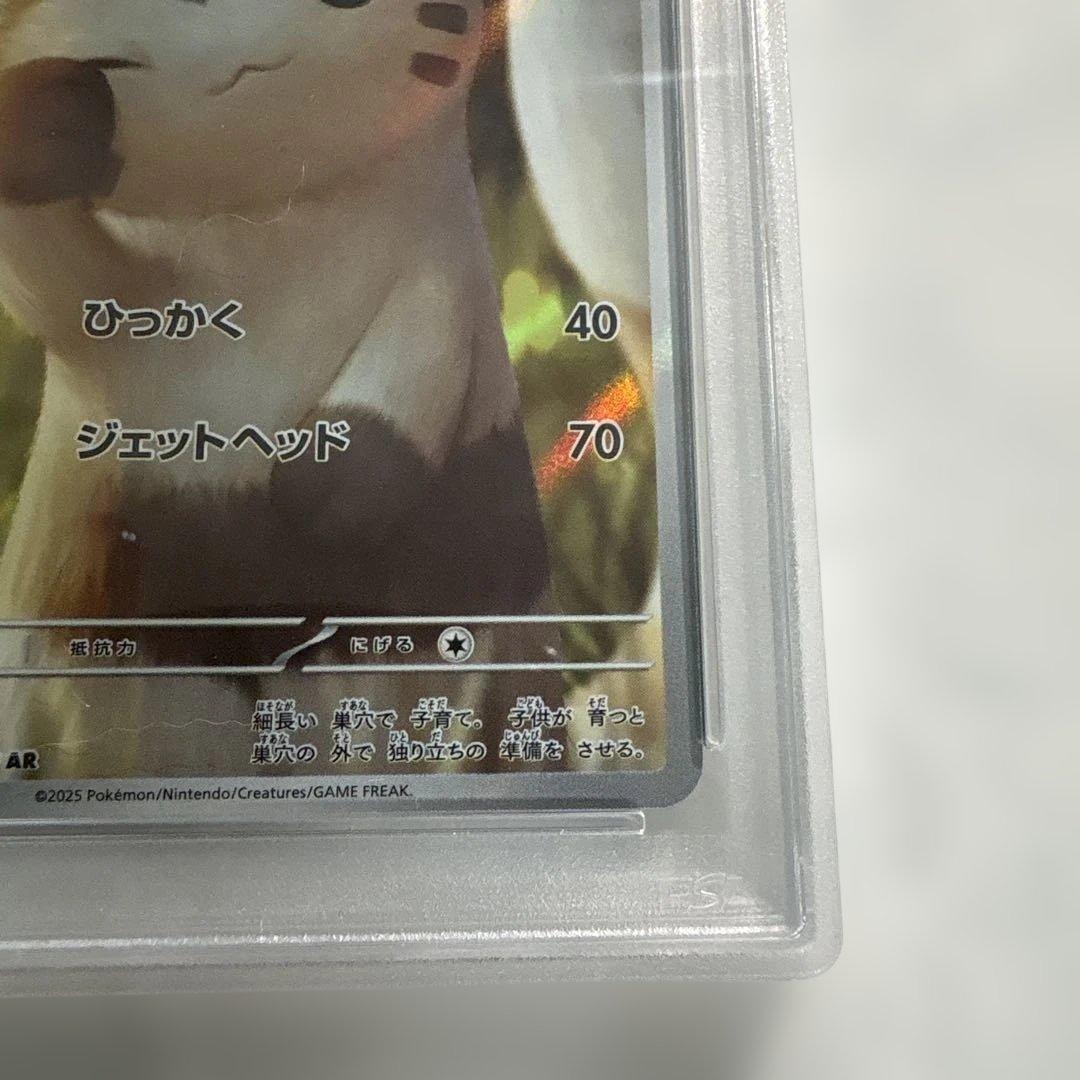 AR オオタチ PSA10