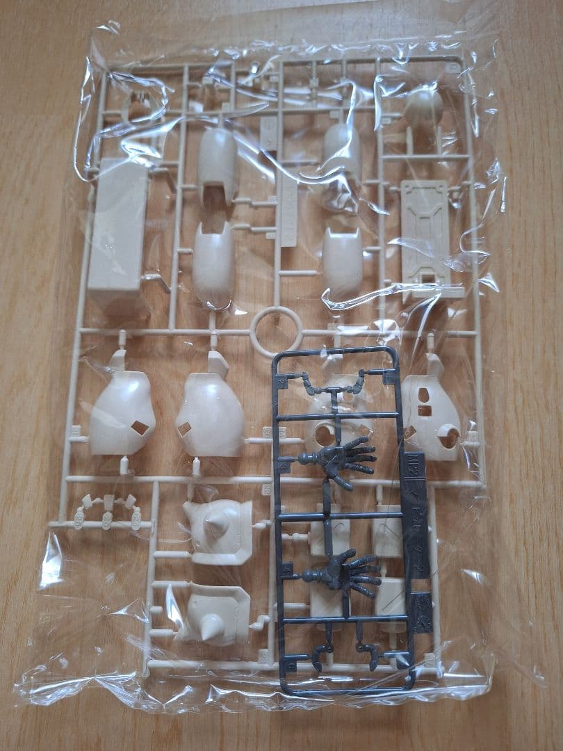 ２０年以上前のMG 1/100 MS-06F-2 ザクII F2型(連邦軍仕様)