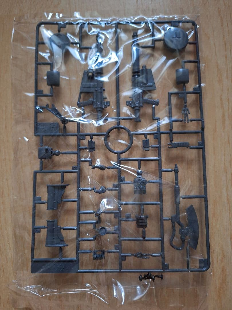 ２０年以上前のMG 1/100 MS-06F-2 ザクII F2型(連邦軍仕様)