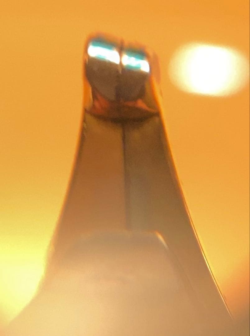 最終価格　ペリカン　m800ストーンガーデン　O3Bニブ