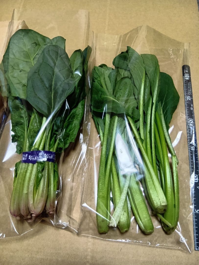 葉物野菜出荷用三角袋5000枚　小松菜、ほうれん草等に