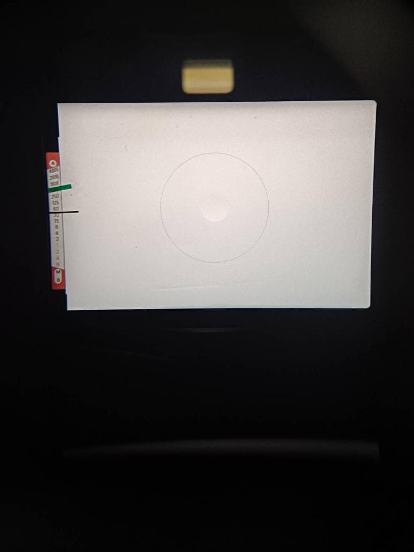 超美品 NIKON ニコン FE2 シルバー モルト新品交換済 M467