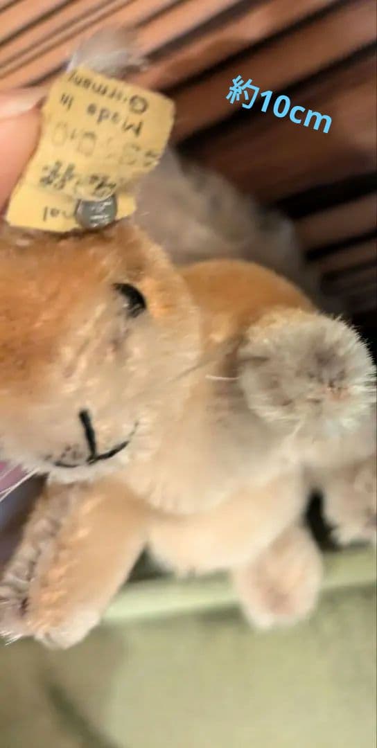 Steiff　リス　3匹セット